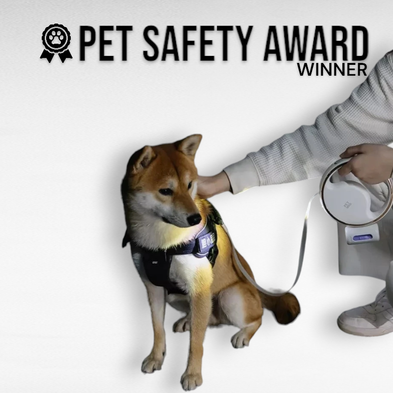 Dog walking with eco-friendly retractable leash